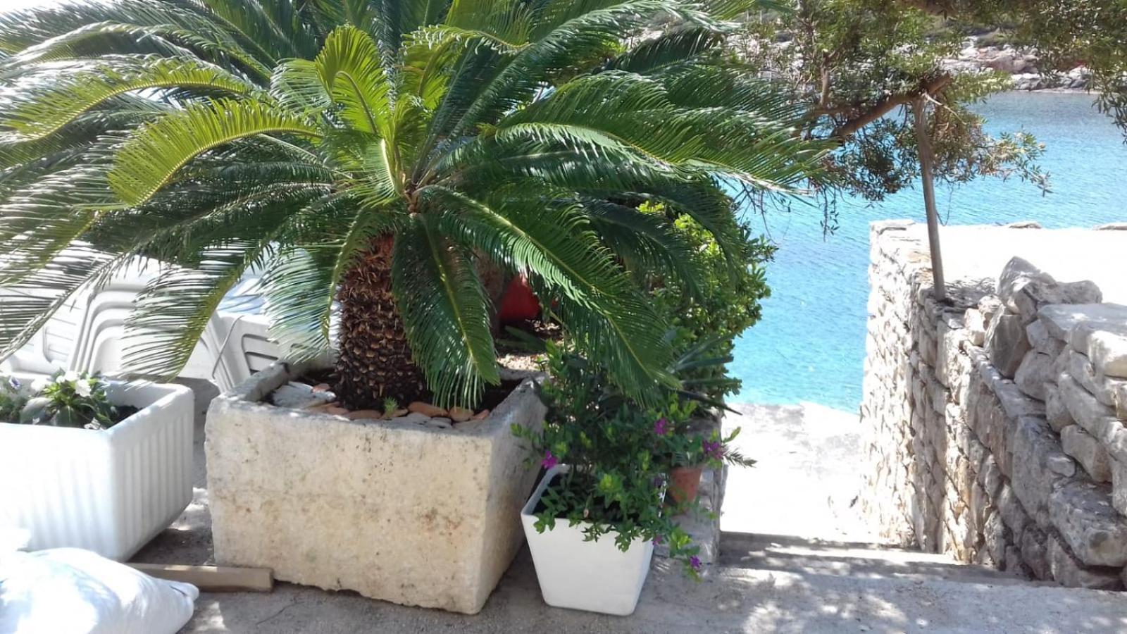 וויס Apartmani Paulo מראה חיצוני תמונה